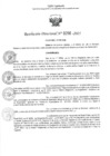 Vista preliminar de documento 0296