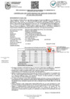 Vista preliminar de documento RGDU 134-2024