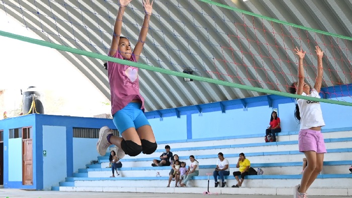 Voley