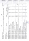 Vista preliminar de documento ANEXO 6 - MODIFICACION CMN N° 22