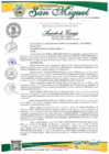 Vista preliminar de documento ACUERDO DE CONCEJO N 012-2025-MDSM/A