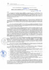Vista preliminar de documento RG. 000077-2025-GSATDE