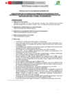 Vista preliminar de documento CAS-015-2025-BASES DEL PROCESO