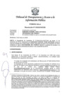 Vista preliminar de documento Resolución N° 010303102020