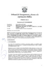 Vista preliminar de documento Resolución N° 010303082020