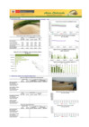 Vista preliminar de documento Boletín de ARROZ - 03/06/20