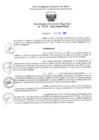 Vista preliminar de documento RDR Nº 0393-2025-GRSM-DRE
