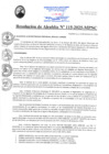 Vista preliminar de documento RA115-2025