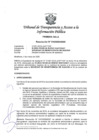 Vista preliminar de documento Resolución N° 010302942020