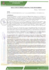 Vista preliminar de documento rgm-0033