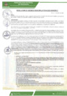Vista preliminar de documento rgm-0034