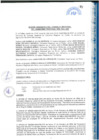 Vista preliminar de documento Acta de Sesión Ordinaria del Consejo Regional