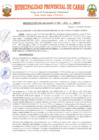 Vista preliminar de documento RA 87