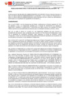 Vista preliminar de documento R.D 155