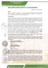 Vista preliminar de documento rgm-038