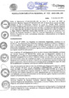 Vista preliminar de documento 100-2025-GRL-GR