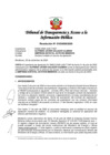 Vista preliminar de documento Resolución N° 010306562020