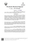 Vista preliminar de documento RDR Nº 0447-2025-GRSM-DRE