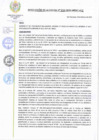 Vista preliminar de documento RA 029-2025-MDSC-ALC