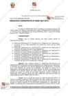 Vista preliminar de documento ROF