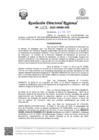 Vista preliminar de documento RDR Nº 0476-2025-GRSM-DRE