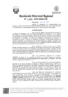 Vista preliminar de documento RDR Nº 0478-2025-GRSM-DRE