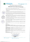 Vista preliminar de documento Res_Alcaldia 025 _ 2025 _ MDCH