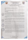 Vista preliminar de documento DECRETO DE ALCALDIA N° 001-2025-MPSP-A