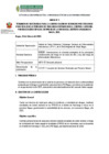 Vista preliminar de documento TDR META 35-2DA CONVOCATORIA - ARAMANGO E IMAZA