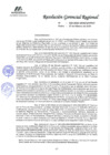 Vista preliminar de documento R.G.R N° 029-2025-GRMGRPPAT
