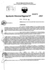 Vista preliminar de documento RDR 0072-2025