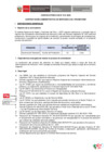 Vista preliminar de documento Bases de convocatoria