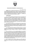 Vista preliminar de documento RP-022-2025-CONCYTEC-P