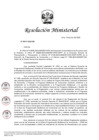 Vista preliminar de documento RM N° 00210-2025-DE (Anexo 1)