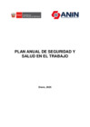 Vista preliminar de documento Plan Anual SST 2025 ANIN
