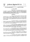 Vista preliminar de documento rsg-004-2025-gore-ica-sgpa
