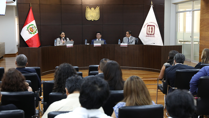 Taller de fundamentos del ecosistema jurídico de la inteligencia artificial realizó el Centro de Estudios Constitucionales del Tribunal Constitucional