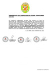 Vista preliminar de documento COMUNICADO DE BUENA PRO