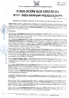 Vista preliminar de documento 067-2025-SGDPM/GGDE/MPH