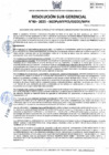 Vista preliminar de documento 040-2025-SGDPM/GGDE/MPH