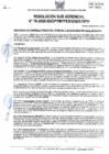 Vista preliminar de documento 076-2025-SGDPM/GGDE/MPH