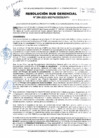 Vista preliminar de documento 094-2025-SGDPM/GGDE/MPH