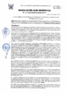 Vista preliminar de documento 117-2025-SGDPM/GGDE/MPH