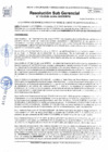Vista preliminar de documento 113-2025-SGDPM/GGDE/MPH