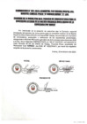 Vista preliminar de documento COMUNICADO DE BUENA PRO