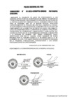 Vista preliminar de documento HT N° 20250189335 (2)-3