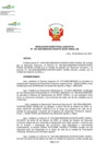 Vista preliminar de documento RDE N° 047-2025-DE Designar al señora Cirila Vivanco Cipeiani Jefa de UAT