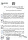 Vista preliminar de documento Resolucion GM N°101-2025-MDLM