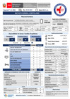 Vista preliminar de documento REPORTE GTGRD 02-03 TURNO DIA