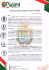 Vista preliminar de documento RESOLUCIÓN DE GERENCIA MUNICIPAL N° 076-2024-MDP/GM